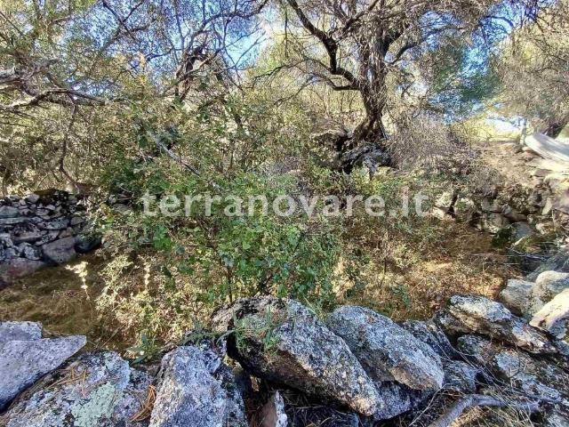 Terreno in vendita a Sant'antonio Di Gallura, Sardigna/Sardegna