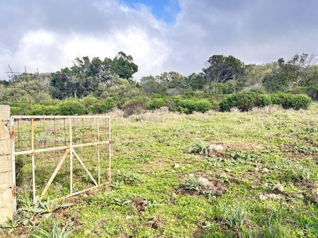 Terreno in vendita a Sant'antonio Di Gallura, Sardigna/Sardegna
