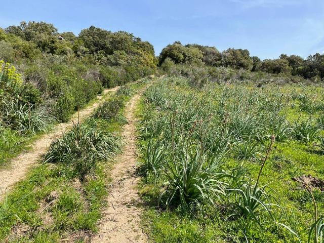 Terreno in vendita a Sant'antonio Di Gallura, Sardigna/Sardegna