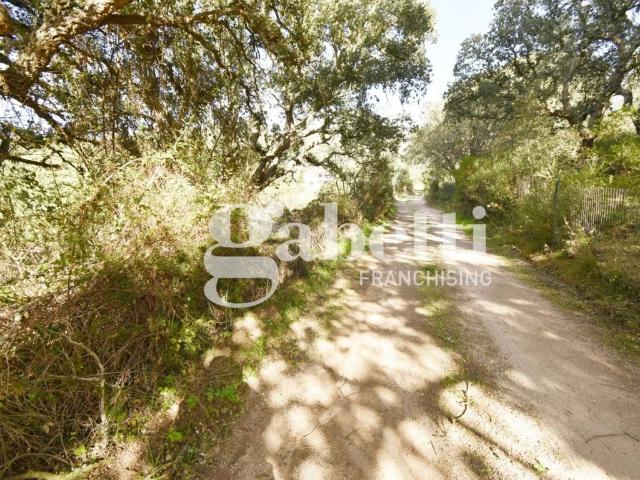 Terreno in vendita a Sant'antonio Di Gallura, Sardigna/Sardegna