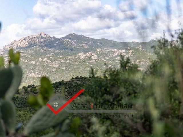 Terreno in vendita a Sant'antonio Di Gallura, Sardigna/Sardegna