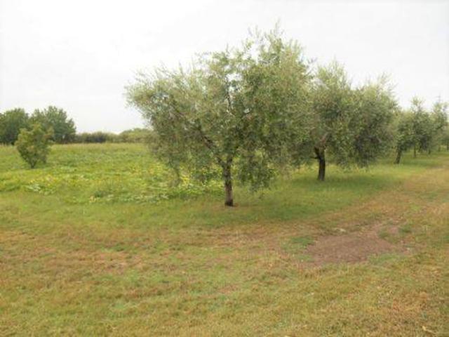 Terreno in vendita a Unione di comuni Valmarecchia, Santarcangelo Di