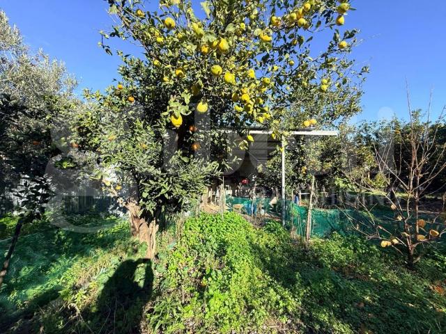 Terreno in vendita a Sant'egidio Del, Campania