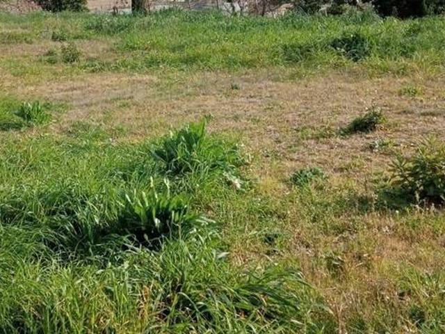 Terreno in vendita a Marche, Fermo