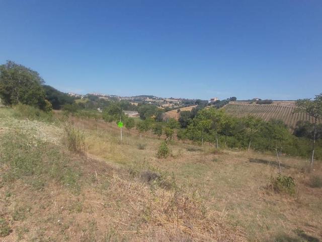 Terreno in vendita a Marche, Fermo