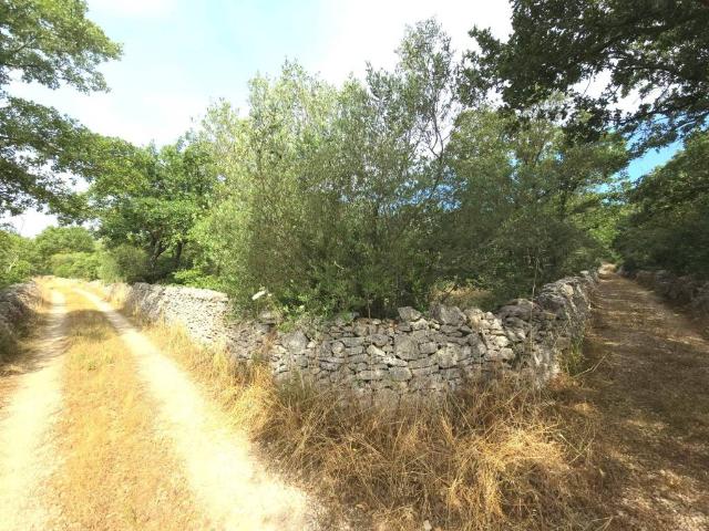 Terreno in vendita a Puglia, Bari