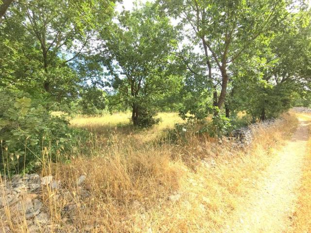 Terreno in vendita a Puglia, Bari