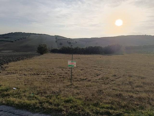 Terreno in vendita a Sant'eusanio Del Sangro, Abruzzo