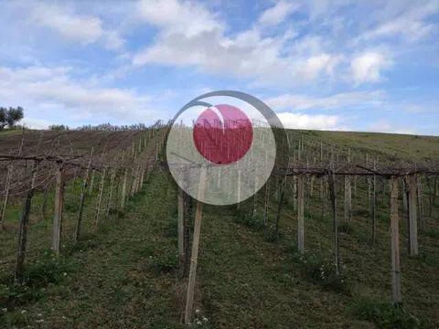 Terreno in vendita a Sant'Eusanio del Sangro, Chieti