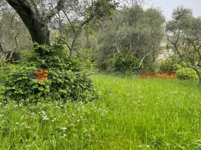 Terreno in vendita a Santi Cosma E Damiano, Lazio