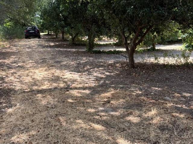 Terreno in vendita a Calabria, Reggio Calabria