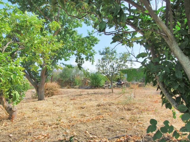 Terreno in vendita a Cavi, Santo Stefano Al Mare