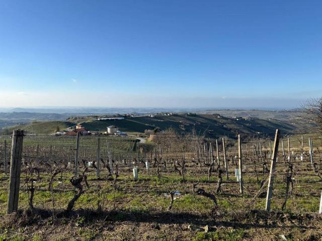 Terreno in vendita a Piemonte, Cuneo