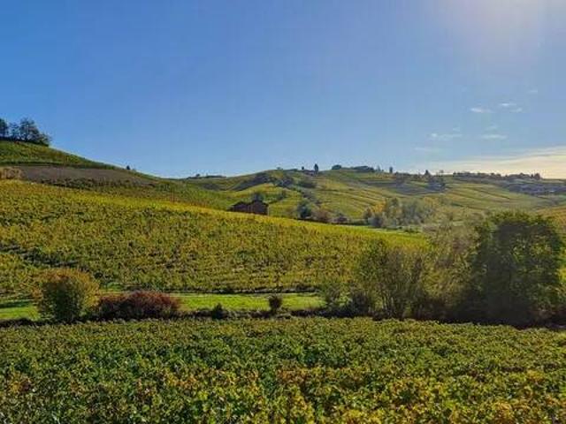Terreno in vendita a Piemonte, Cuneo