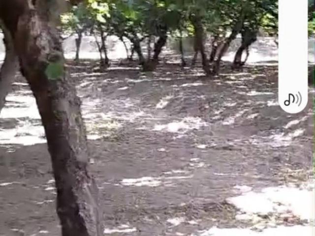 Terreno in vendita a Santo Stefano Del Sole, Campania