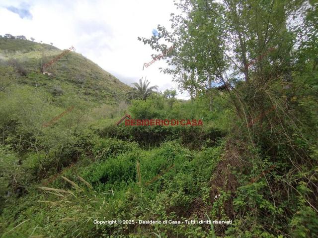 Terreno in vendita a Santo Stefano Di Camastra, Sicilia