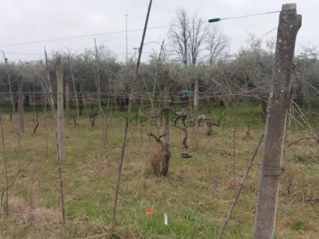 Terreno in vendita a Ponzano Magra, Santo Stefano di Magra