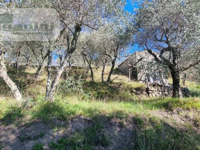 Terreno in vendita a Santo Stefano Di Magra, Liguria