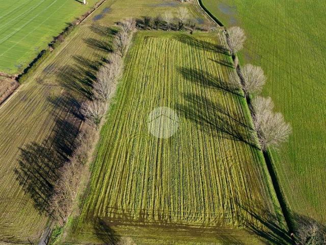 Terreno in vendita a San Fiorano, Lombardia