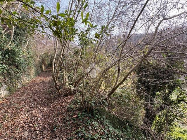 Terreno in vendita a Sant'olcese, Liguria