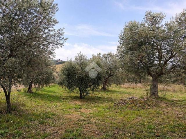 Terreno in vendita a Unione dei Comuni della Val Vibrata, Sant'omero