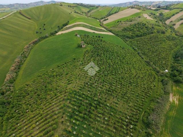 Terreno in vendita a Bellante, Abruzzo