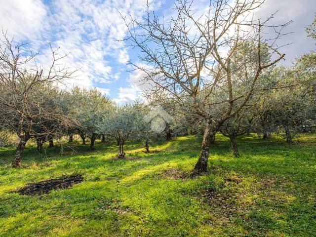 Terreno in vendita a Unione dei Comuni della Val Vibrata, Sant'omero