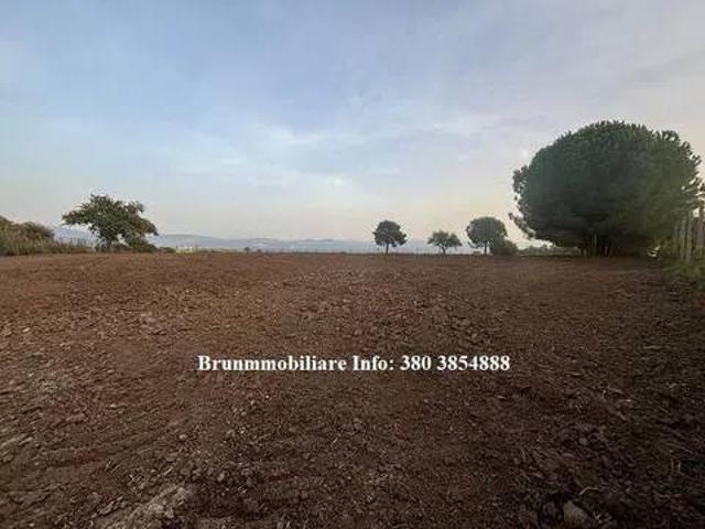 Terreno in vendita a Sant'Onofrio, Vibo Valentia