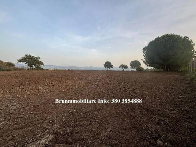 Terreno in vendita a Calabria, Vibo Valentia