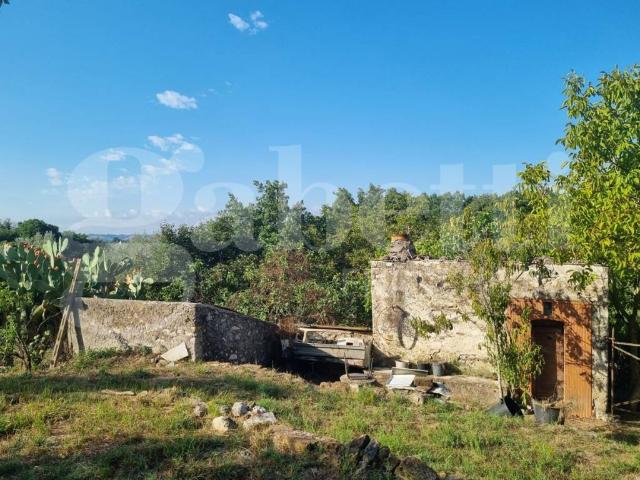Terreno in vendita a Sant'Oreste