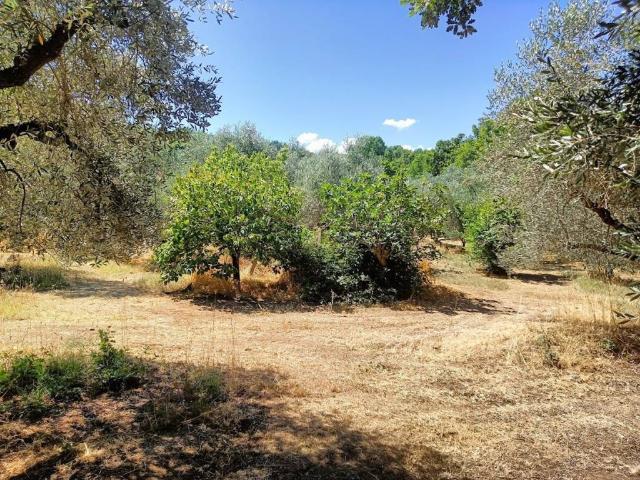 Terreno in vendita a Roma Capitale, Lazio