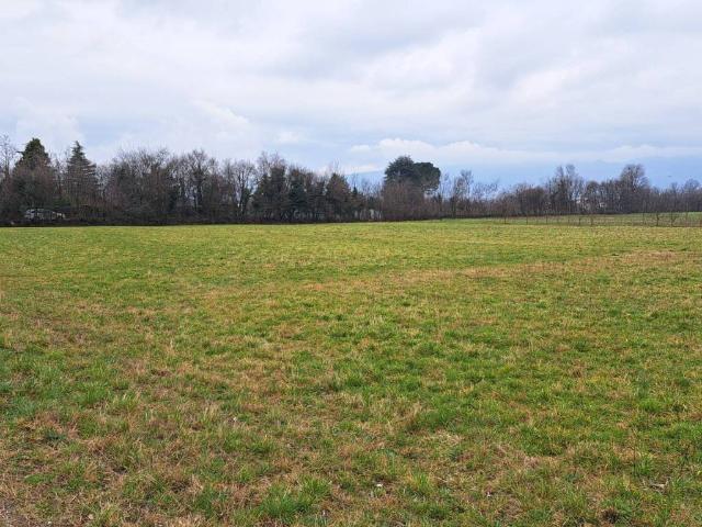 Terreno in vendita a Piovene Rocchette, Veneto