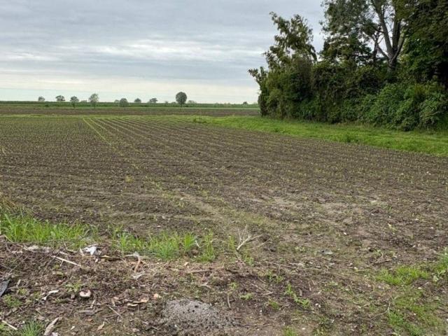 Terreno in vendita a Sant'urbano, Veneto