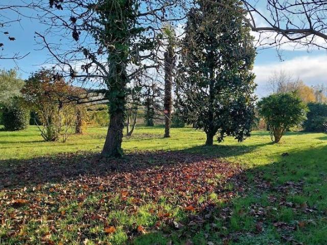 Terreno in vendita a Saonara, Veneto