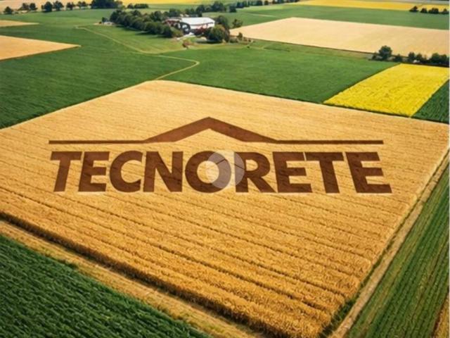 Terreno in vendita a Vigonovo, Veneto