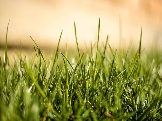 Terreno in vendita a Saonara, Padova