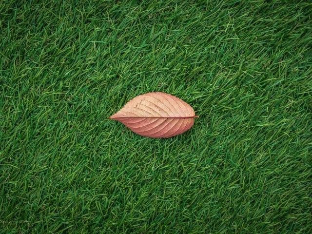 Terreno in vendita a Saonara, Padova