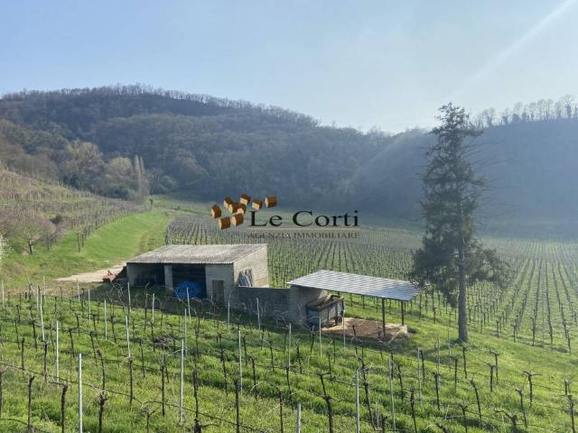 Terreno in vendita a Sarego, Veneto