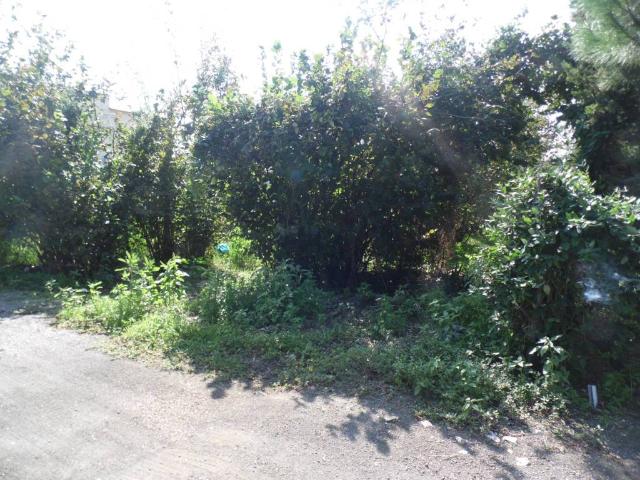 Terreno in vendita a Sarno, Campania