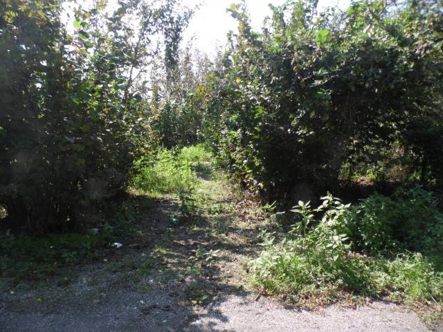 Terreno in vendita a Sarno, Campania