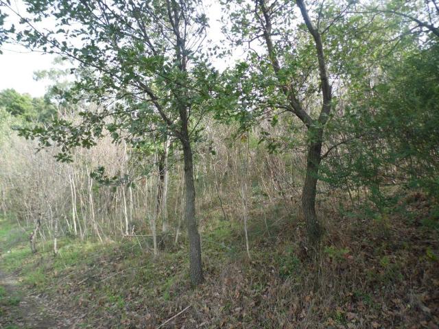 Terreno in vendita a Sarno, Campania