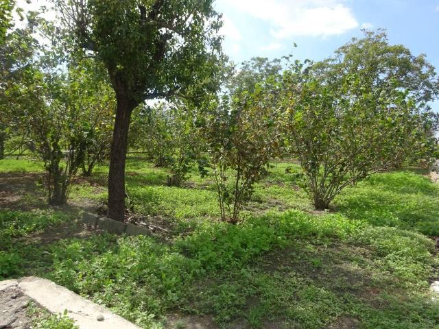 Terreno in vendita a Sarno, Campania