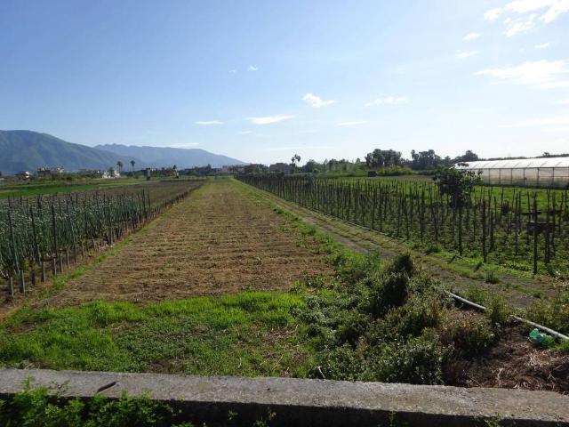 Terreno in vendita a Sarno, Campania