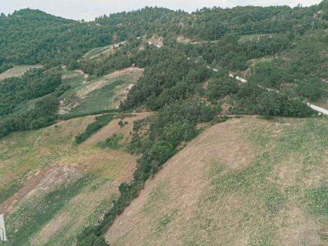 Terreno in vendita a Unione dei comuni Valle del Savio, Sarsina