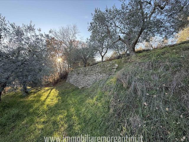 Terreno in vendita a Sarteano, Toscana