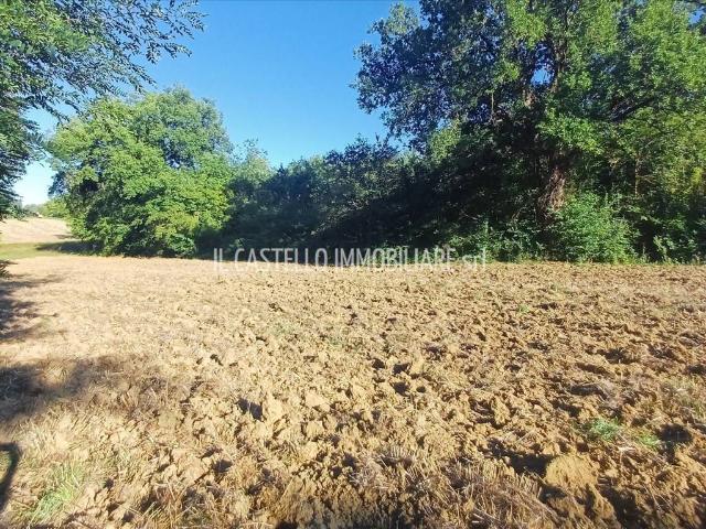 Terreno in vendita a Sarteano, Toscana