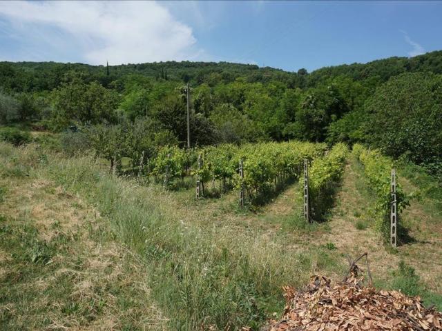 Terreno in vendita a Sarteano, Toscana