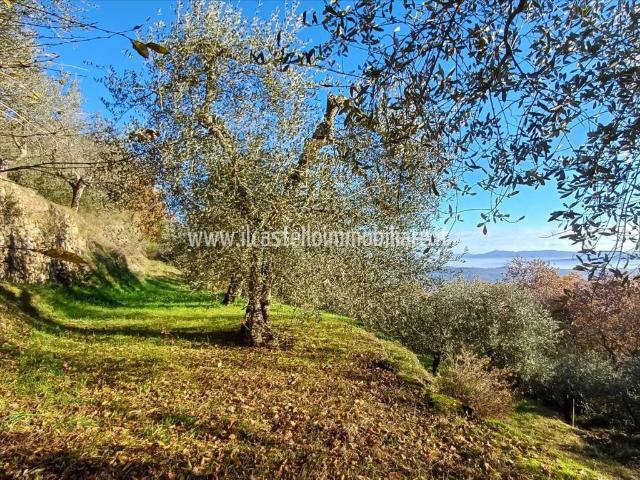 Terreno in vendita a Sarteano, Toscana