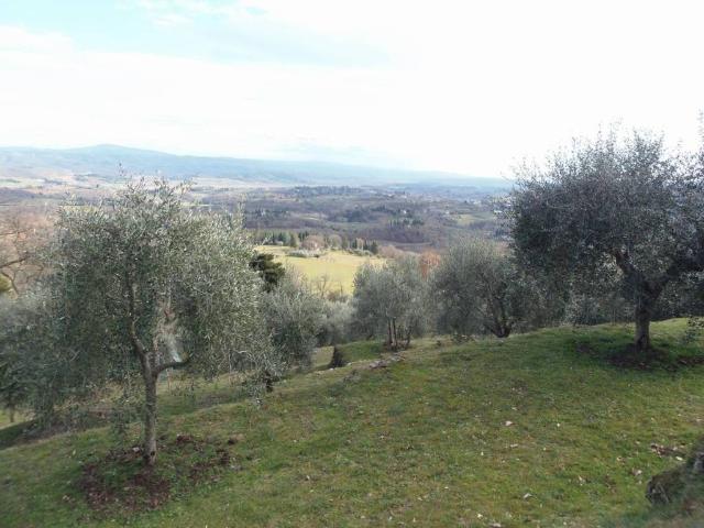 Terreno in vendita a Sarteano, Toscana