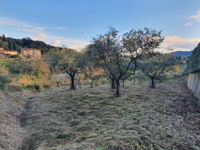 Terreno in vendita a Grisei, Sarzana